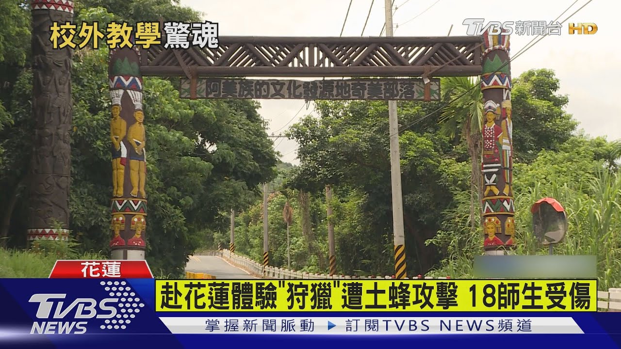 赴花蓮體驗戶外教學！驚動土蜂群　新北18名師生遭咬傷
