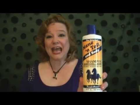 YouTube video about: Can I use horse shampoo on my dog?