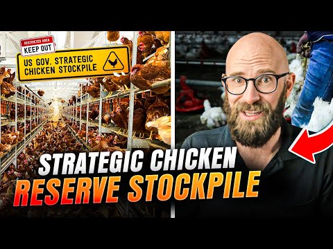 The Secret American Chicken Stockpile: A Surprising Strategy for Global Security