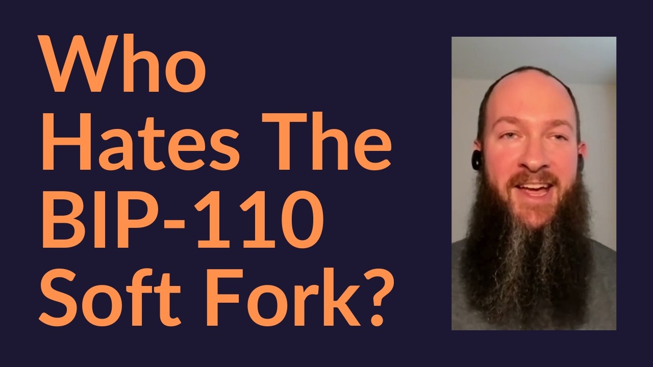 Who Hates The BIP-110 Soft Fork?