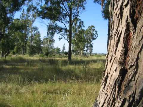 Detrás del barrio Don Orione-Solar donde viviò G.E.Hudson