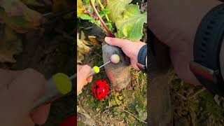 Download lagu Alat unik untuk mencongkel lobak #shorts mp3