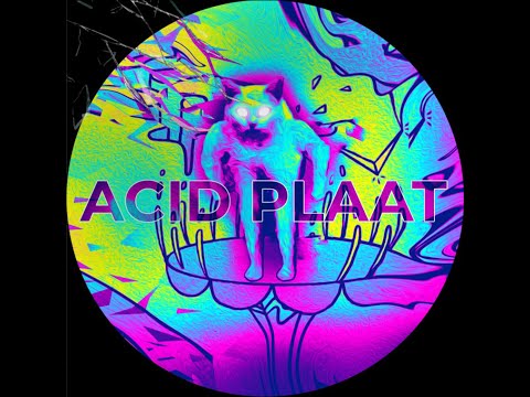 ACID PLAAT (ft. Krabi & GEWOONRAVES)
