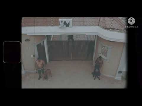 Dj Obza ft harmonize x Leon Lee - Mang'adakiwe remix (Official Video)