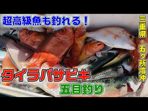 三重県・五ヶ所湾沖　高級魚も登場！タイラバサビキ（ガッ釣り関西#96/2021年6月5日放送）