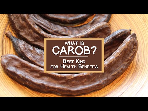 download lagu mp3 mp4 Carob Pod Tea, download lagu Carob Pod Tea gratis, unduh video klip Carob Pod Tea