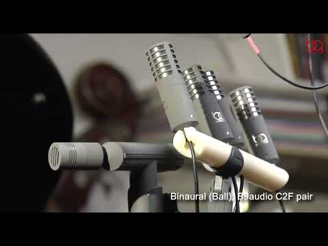 Stereo microphone, ORTF, Blumlein, XY, Binaural, MS stereo