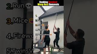 Ranking Funniest Wasp Nest Removals