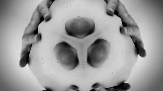 Mario Batkovic Solo  RESTRICTUS Accordion