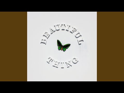 Beautiful Thing video