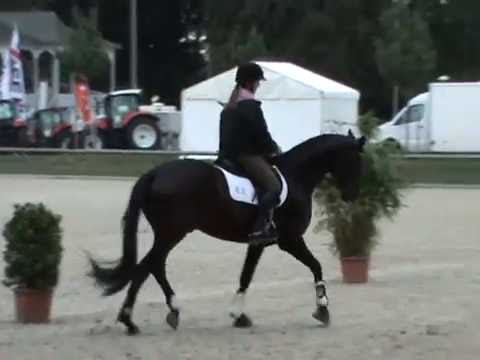 Polartanz Dressuraufgabe für HLP