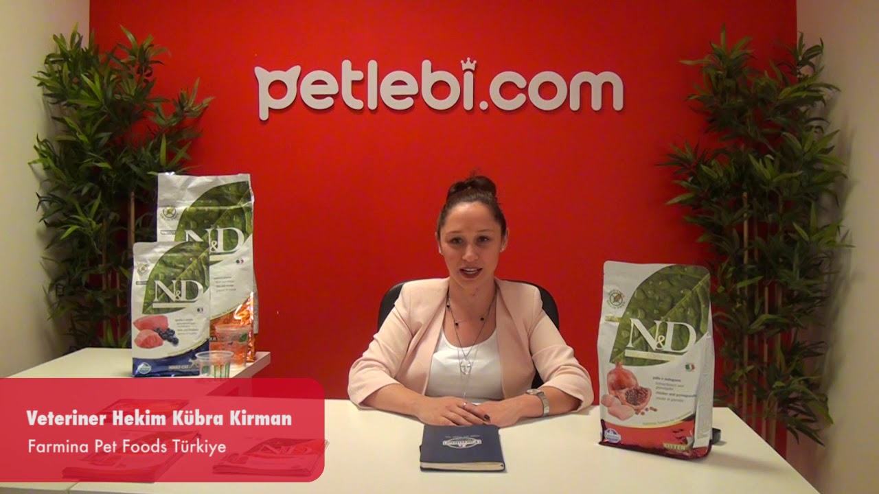 N&D Prime Tavuklu ve Narlı Tahılsız Kısırlaştırılmış Kedi Maması 1,5kg tanıtım video görseli