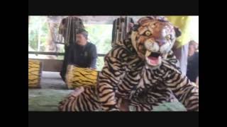 Download lagu Pesona Indonesia - Desa Wisata Margacinta Pangandaran Jawa Barat mp3 Download lagu Pesona Indonesia - Desa Wisata Margacinta Pangandaran Jawa Barat mp3