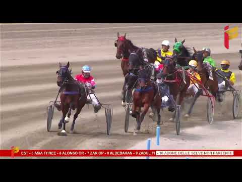 III Corsa del 13 Maggio 2023 - Premio Gaia Cucinotta 2 - 7 Anni ed oltre - Metri 1600 - Gentlemen