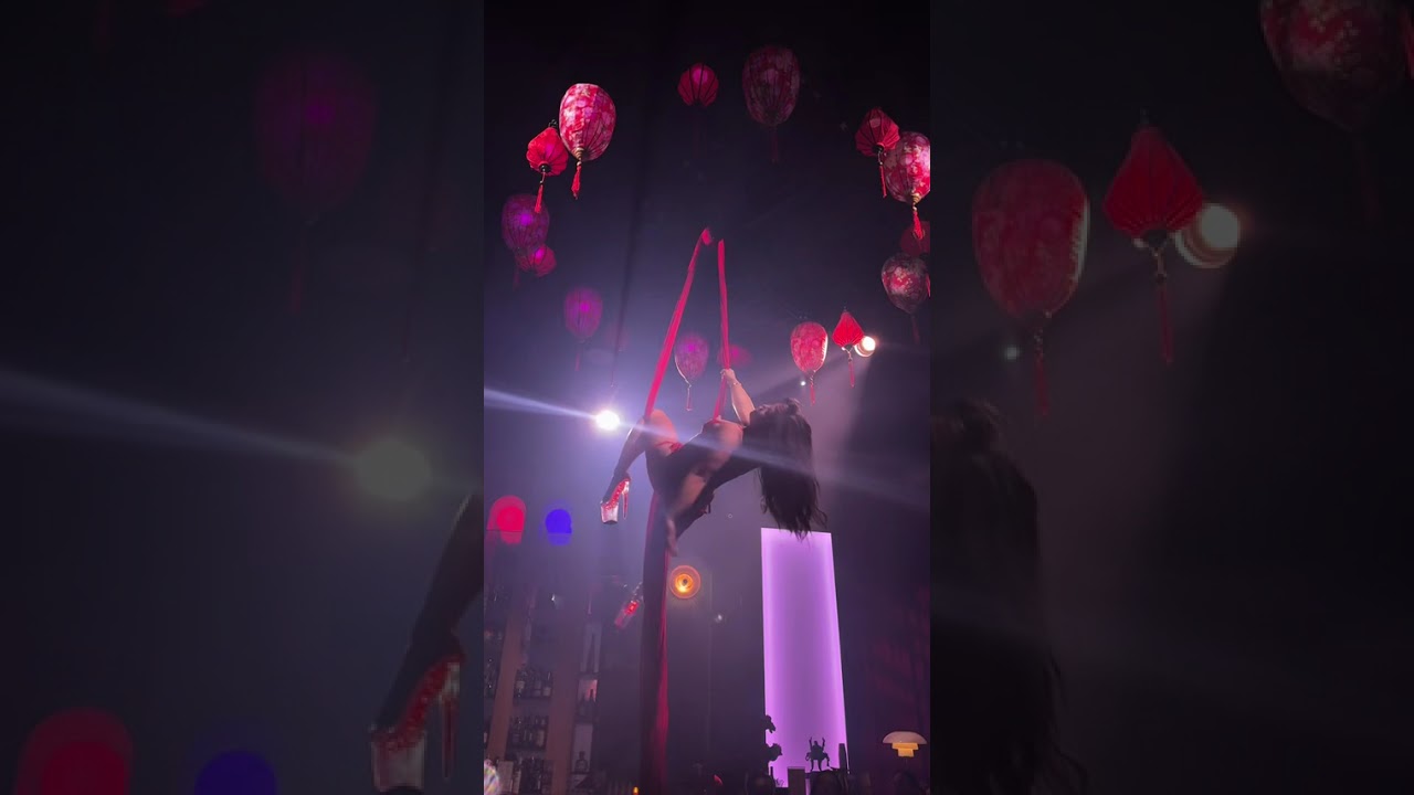 Promotional video thumbnail 3 for Francesca - Aerial Performer