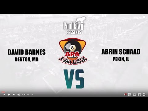 2019 APA 8-Ball Classic - Purple Tier - American Poolplayers Association - Billiards