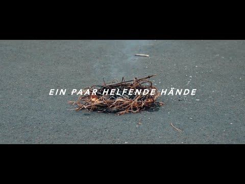 STATTLANDFLUSS - Nach Hause [Lyric Video]