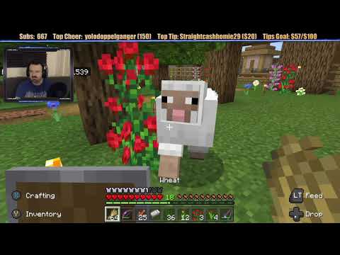 Minecraft "Chill Stream" Jan. 27, 2020 pt2 - Mutton Project and Working Refrigerator