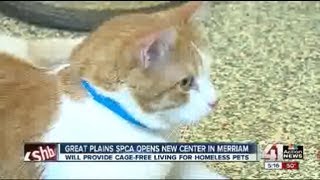 Great Plains SPCA opens new adoption center