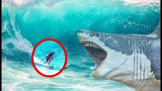 6 Real Life Megalodon Shark Encounters & Sightings Around The World | Compilation