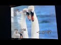 Closing To Neighborhood Animals Late 2002 VHS