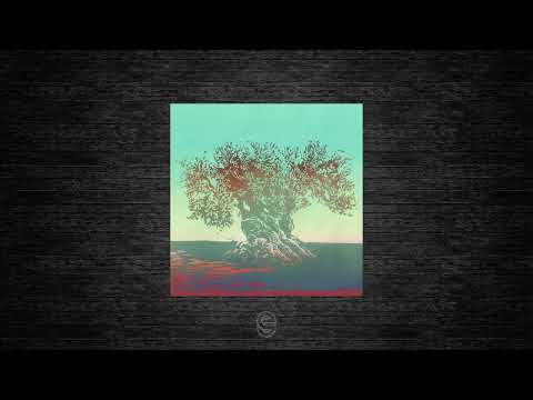 Premiere: Sub Accent - Things Happen - Accents Records ( ^^^ )