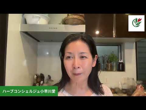 医療ビジネス薬科学科 ヒルデガルト、よもぎ、ラベンダー、ラテン語、クロロフィル・・・etc