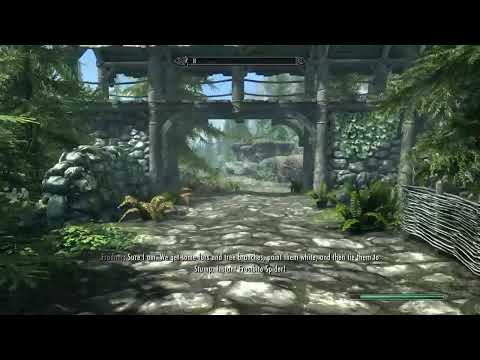 Skyrim legendary difficulty permadeath run