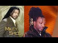 Mikey Spice Best Of Reggae Lovers Rock Culture Mix DJ MURRAY 18768557770