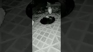 Download lagu Lagu Adx Berjilbab ungu /Versi Status WhatsApp |2020 mp3 Download lagu Lagu Adx Berjilbab ungu /Versi Status WhatsApp |2020 mp3