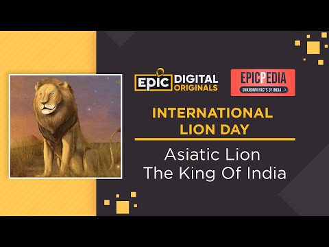 World Lion Day | Asiatic Lion - Pride of India | EPIC