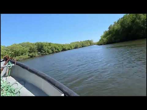 #Usulután // Bahía de Jiquilisco #SemanaSanta2026 