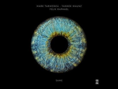 Mark Tarmonea, Yannek Maunz, Felix Raphael - Same (Mononoid Remix)
