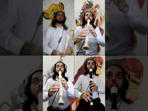 Medley Rei Leão - Flauta e gaita