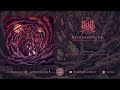 Blut aus Nord - Disharmonium - Undreamable Abysses (Full Album) Video