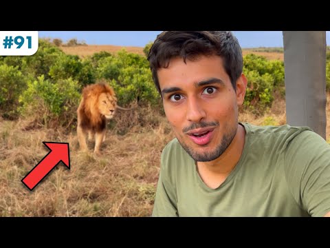 Why this Lion won't attack me | Dhruv Rathee vs Wild