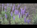 "Sealed with a Kiss" - guitar instrumental music ...