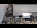 How to Safely Retrieve a Groundhog from Underneath a Shed in Forked River, NJ