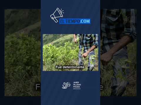 Consejo de Estado condena al Ejército por ejecución extrajudicial en Anorí, Caso Hugo Alberto Arango