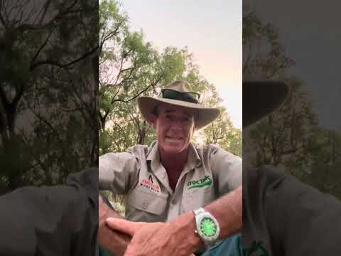 So you think you can beat a kangaroo??? #askanyaussie #crocturnbull #australia #kangaroo