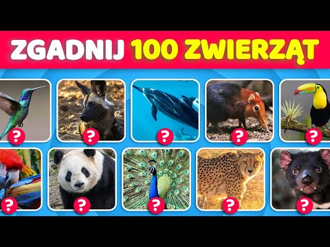Zgadnij 100 zwierząt w 3 sekundy🐘🦘🦍 Od łatwych do niemożliwych!