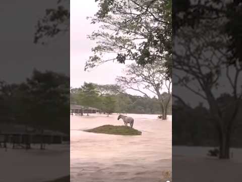 Córdoba Bajo el Agua: Lo Que Dejó la Inundación