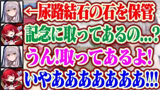 わんちょむの尿路結石の石を大事に保管してるノエルと絶叫するマリンww【ホロライブ/白銀ノエル/宝鐘マリン】