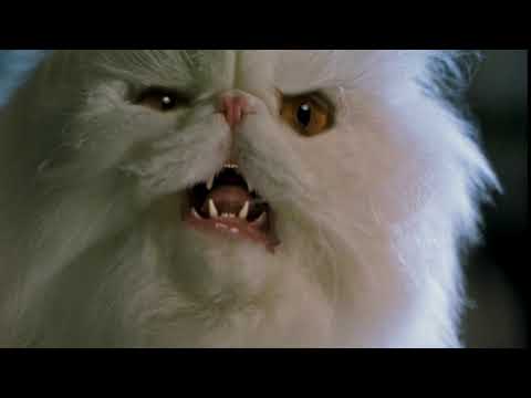 Cats & Dogs (2001) Mr. Tinkles "WE'RE TRYING TO TAKE OVER THE WORLD?"