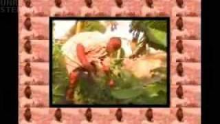 NATURAL BLACK FT. BERES HAMMOND - LET THE GOOD TIMES ROLL