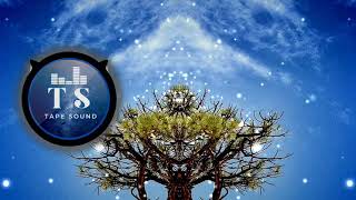 Duran Duran Box Full Of Honey Big Leo Penitence Remix 2020 [Tape Sound]