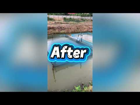 Tilapia Broodstock and Pond Management (Episode1)