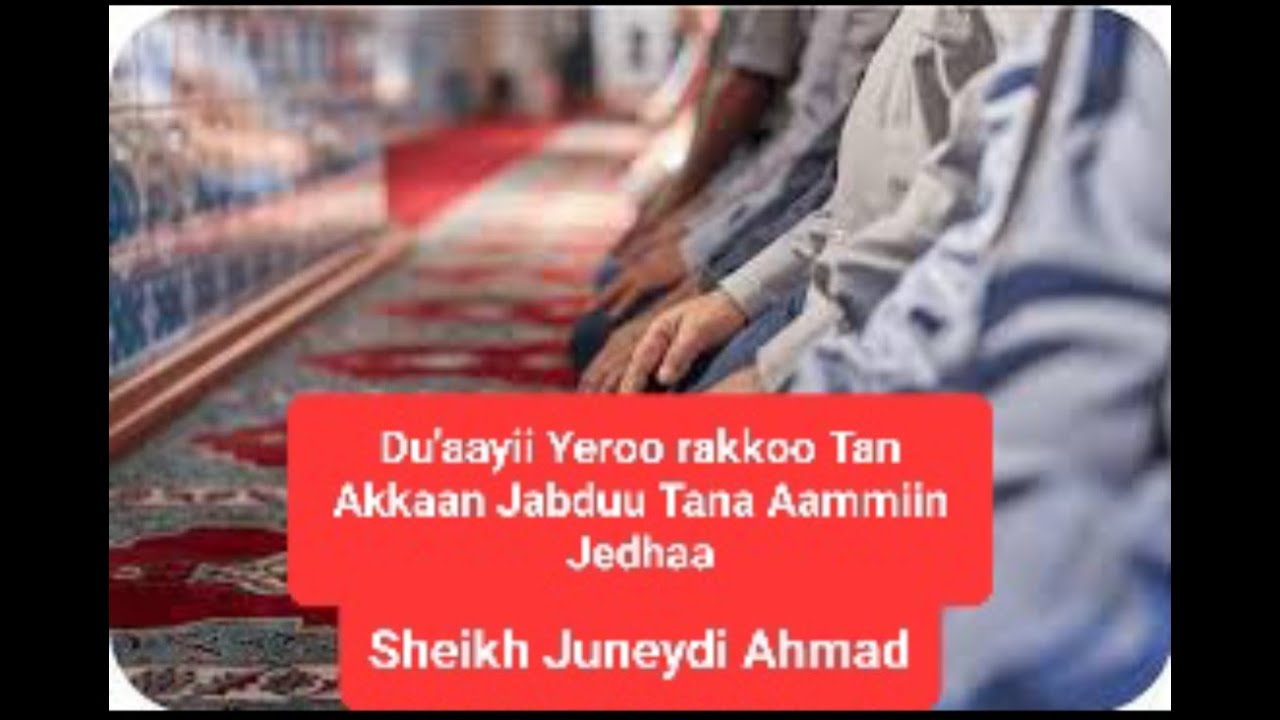 Zikrii bareedduu Sheikh Juneydi Ahmad@Birraamedia1 @EqraIslamicmedia  @islamiczikr9399