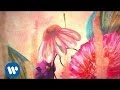 Bandabardò E Allora Il Cuore Official Video