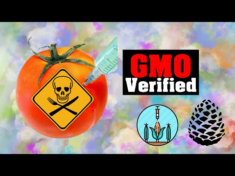 GMO Foods Monsanto, Du Pont, DOW, Syngenta, Bayer, Chemical Produced, Purple Pinecone